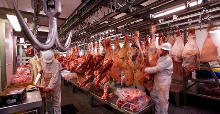Con un acatamiento del 95 %, paran los trabajadores de la carne