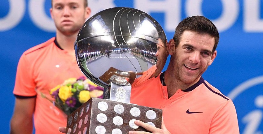 Del Potro grita campeón en el año de su renacimiento