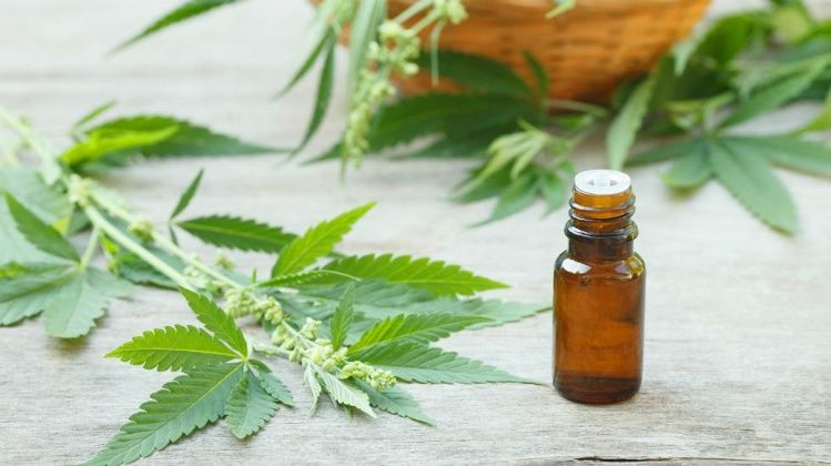 Reglamentaron parcialmente el uso medicinal del cannabis