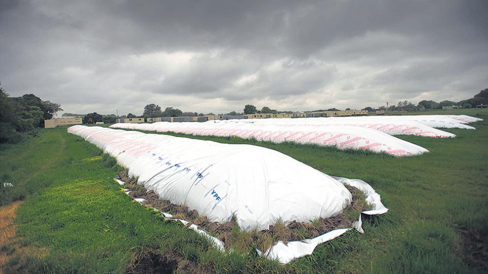 El sector agroexportador retiene la cosecha para forzar una nueva devaluación del peso