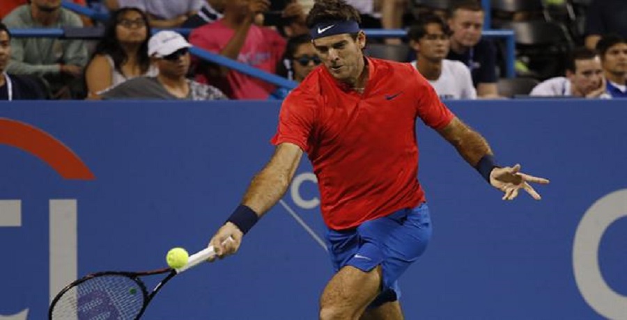 Del Potro perdió ante Dimitrov y el calor de Cincinnati