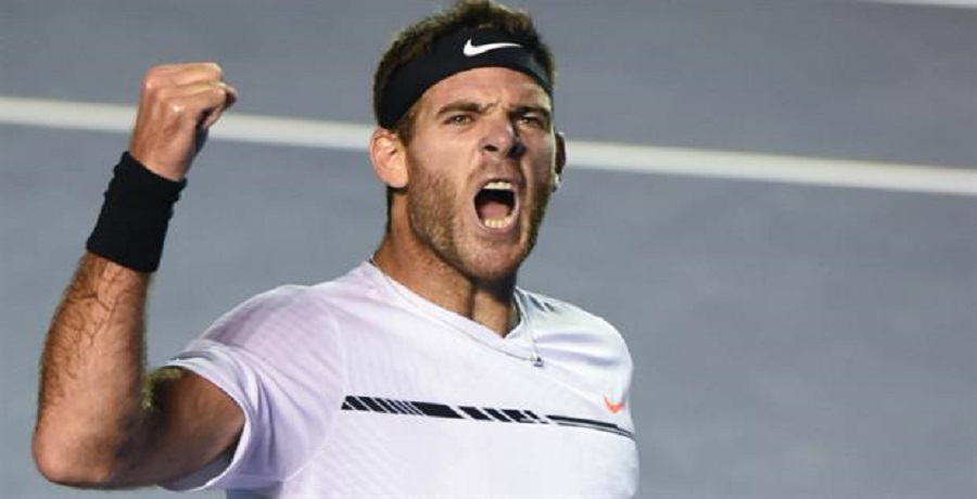 Del Potro y su positivo primer paso en Washington