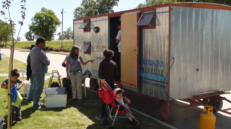 Consultá el cronograma de castración gratuita de mascotas por los barrios y localidades rurales