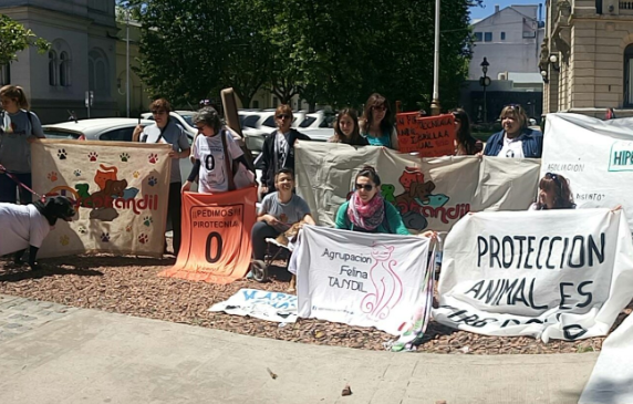 «Pirotecnia 0 (cero) Tandil» se manifestó esta mañana en el Municipio