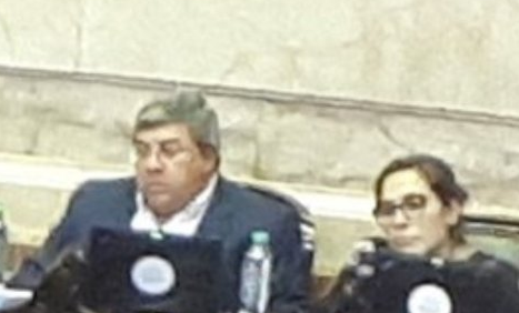 Los tandilenses Carlos Fernández y Josefina Mendoza votaron a favor del recorte a jubilados