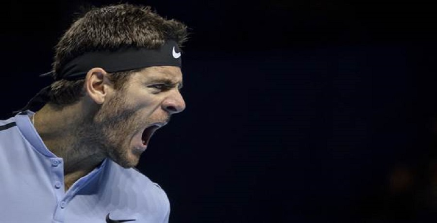 Juan Martín Del Potro, entre los obstáculos, un cierre poderoso y los desafíos que le esperan en 2018