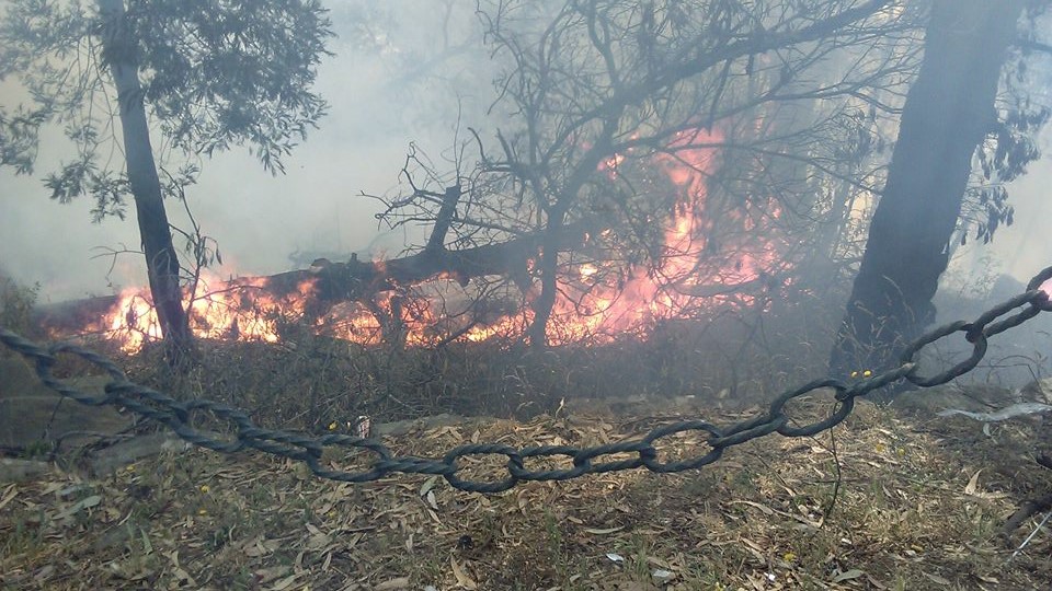 Luego de los incendios en el Parque, la municipalidad buscará cambios en el Tandil Brilla