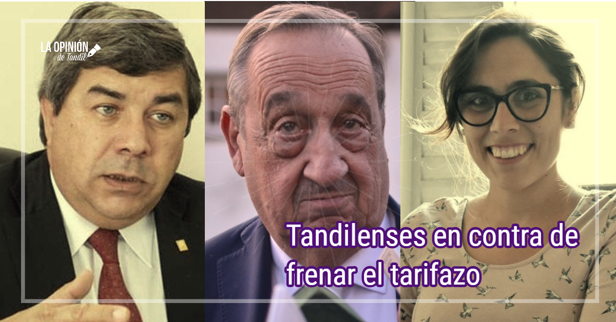 Fernández y Mendoza lo hicieron de nuevo: votaron en contra de frenar los tarifazos