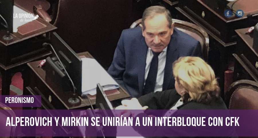 Senado: Fractura en el bloque de Pichetto