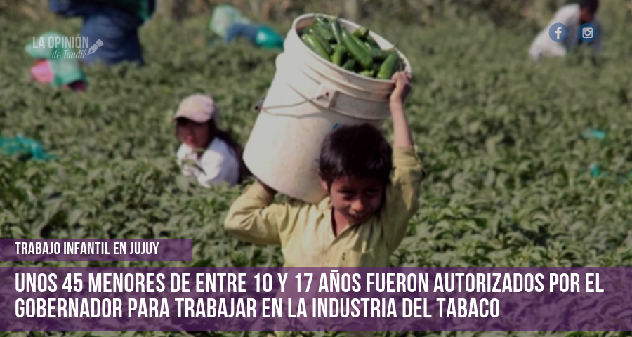 Gerardo Morales habilitó el trabajo infantil en Jujuy