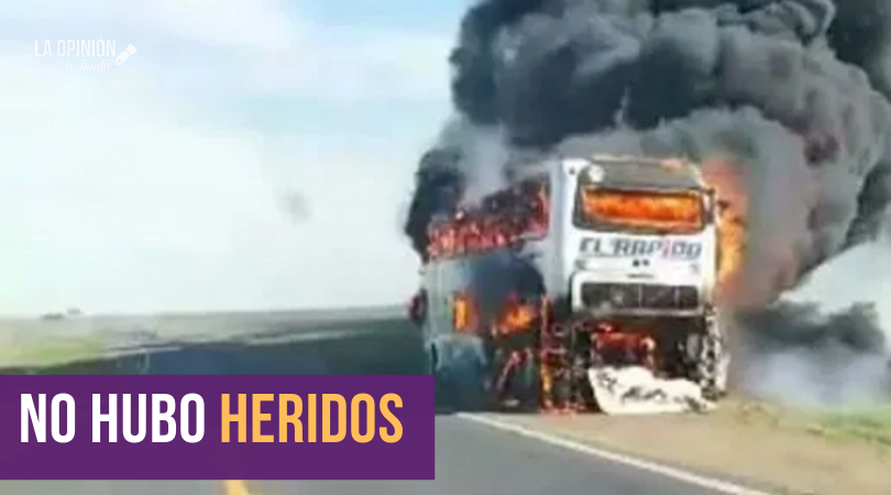 Micro de El Rápido se incendió camino a Olavarría