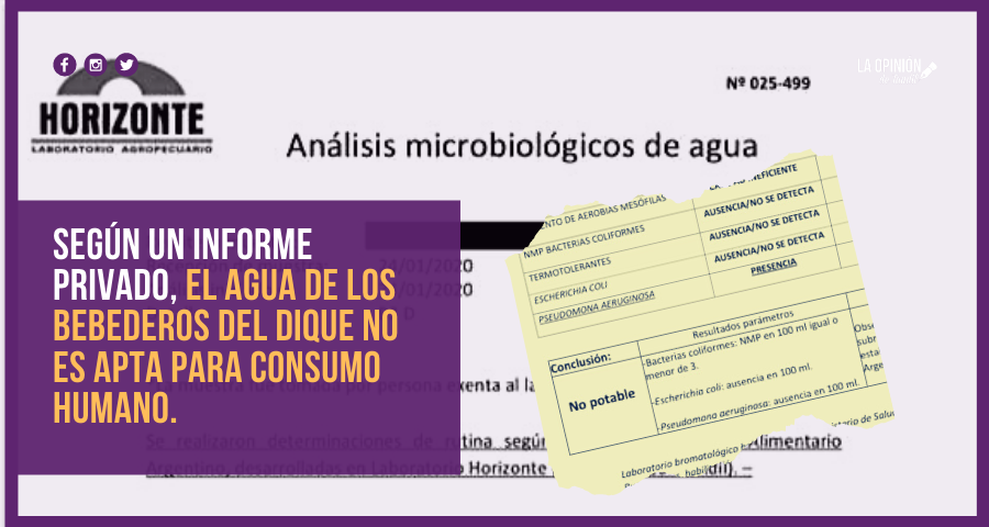 Revelaron que el agua de los bebederos del Lago del Fuerte está contaminada