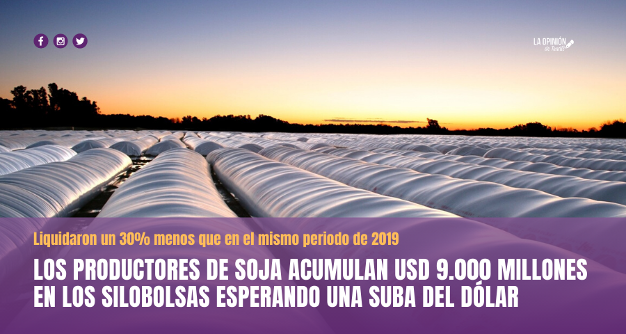 En medio de la crisis más grande de la historia, productores sojeros especulan guardando granos en silobolsas