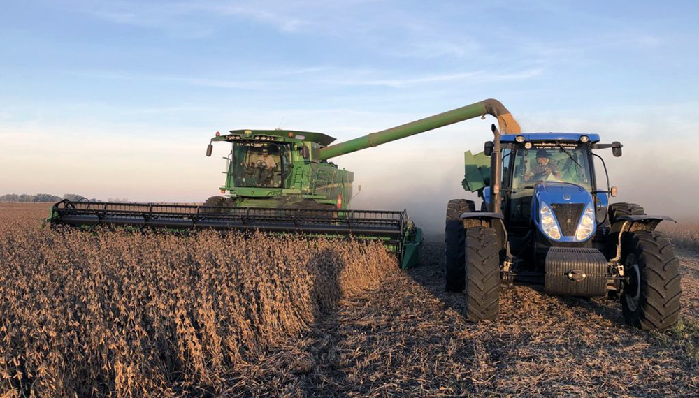 El Gobierno negocia las medidas para facilitar ingreso de dólares del campo