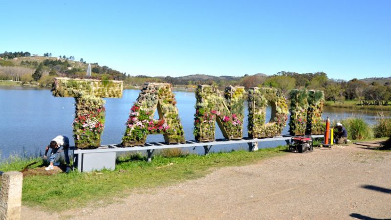 Bien Ubicado: marcha y cartel en plena pandemia