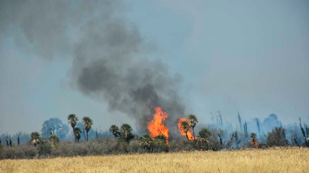 Incendios: once provincias tienen focos activos en el país