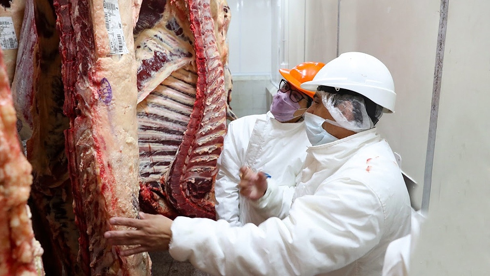 El Gobierno anuncia un Plan Ganadero y un nuevo esquema exportador de carne