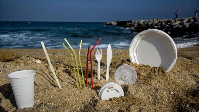 Contaminación ambiental: El plástico representa más del 84% de los residuos encontrados en las playas bonaerenses