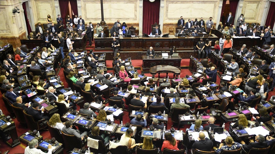 Diputados aprobó esta madrugada el acuerdo con el Fondo Monetario Internacional