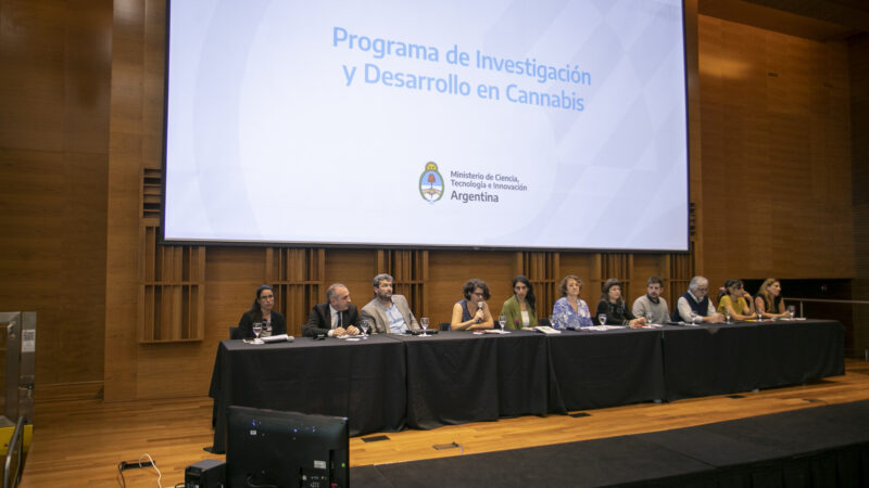 El Ministerio de Ciencia lanzó el “Programa de Investigación y Desarrollo en Cannabis”