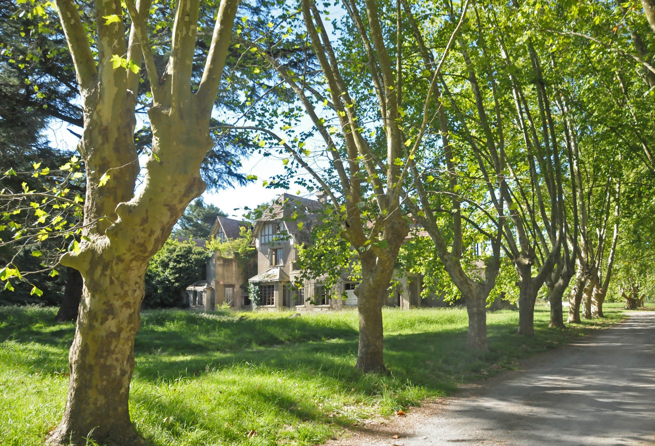 Urbanización en Sans Souci: un proyecto que apunta a sanar el déficit habitacional de Tandil