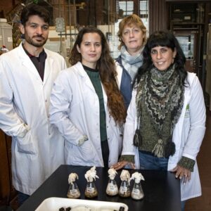 Contaminación ambiental: investigadoras argentinas hallaron hongos que descontaminan las colillas de los cigarrillos