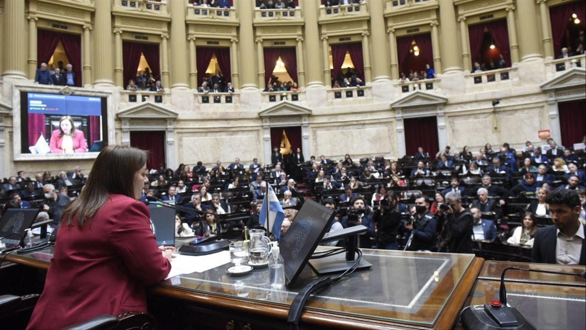 La Cámara de Diputados se pronunció con un repudio por el ataque a Cristina Kirchner