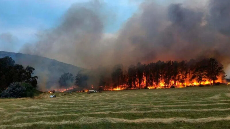 Defensa Civil emitió un alerta por alto riesgo de incendios en Tandil ante las elevadas temperaturas y vientos cambiantes