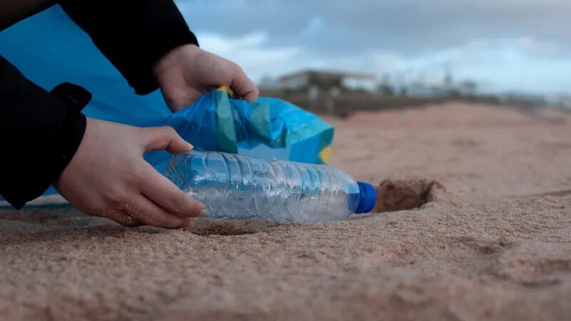Contaminación ambiental: censo provincial informó que en la Costa Atlántica 7 de cada 10 residuos son plásticos