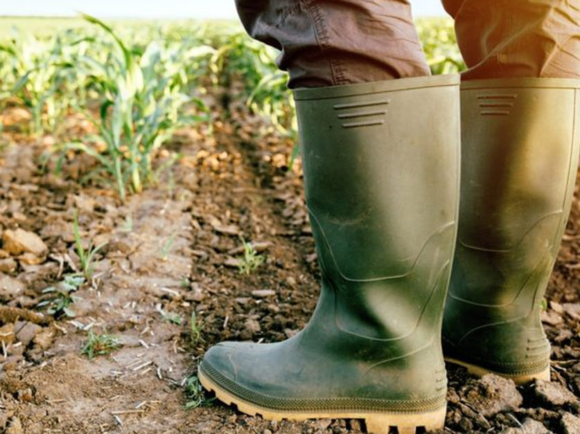 Tras el fin de «La Niña», la región pampeana necesita la caída de 200 a 300 milímetros de agua