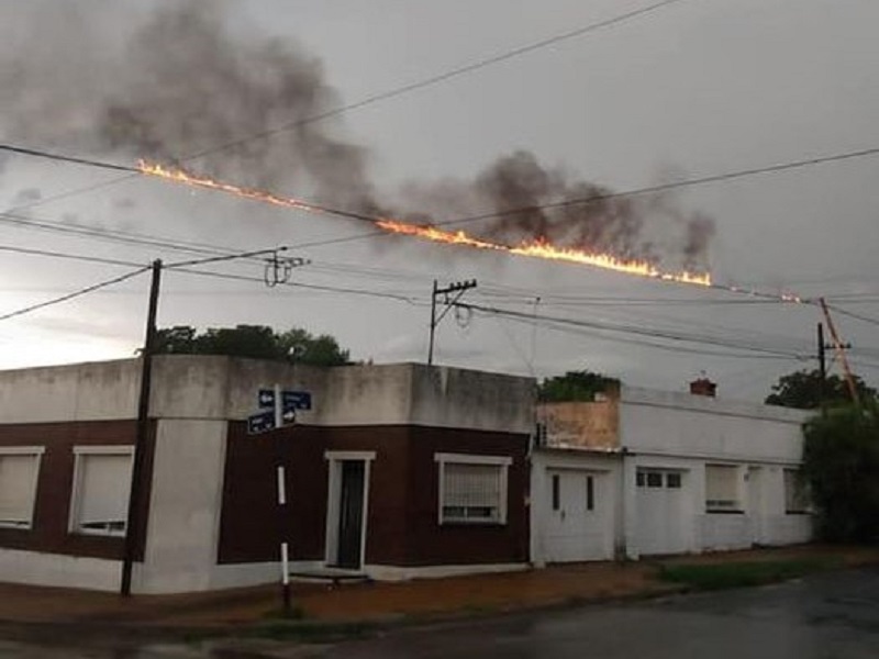 Cables prendidos fuego, antenas y árboles caídos:  el agobiante calor fue apagado por una feroz tormenta, que dejó escenas caóticas en la ciudad