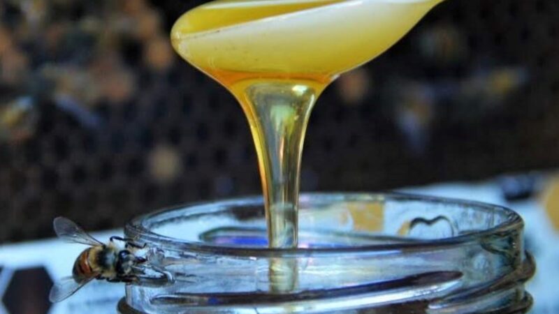 «Agregando valor a las mieles»: tres especialistas elegirán la mejor miel de Tandil