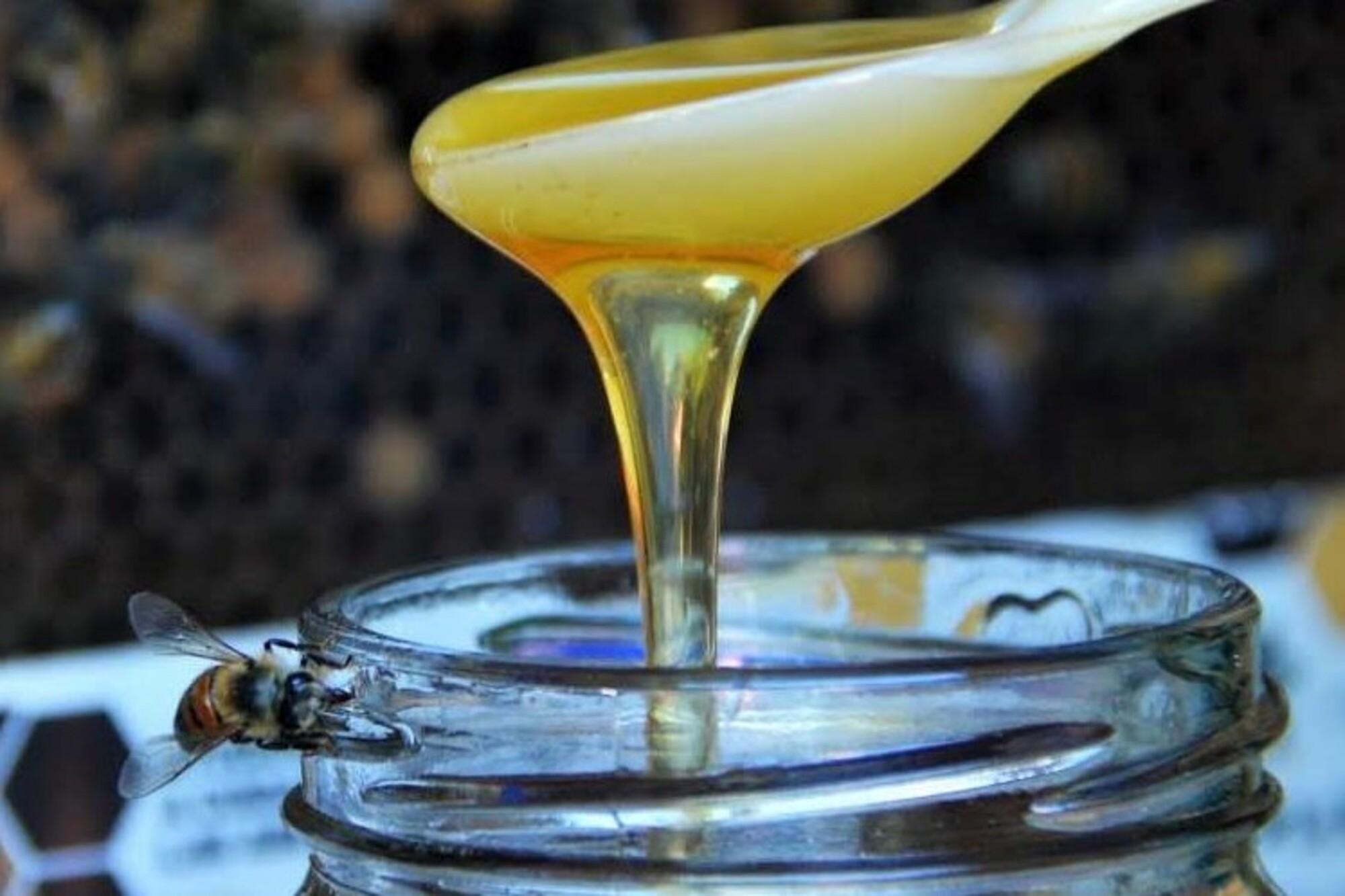 «Agregando valor a las mieles»: tres especialistas elegirán la mejor miel de Tandil