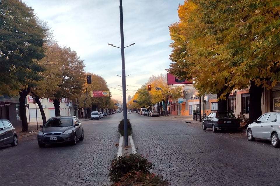 “La Avenida de los Tilos”: el proyecto social, artístico y cultural se desarrollará el próximo domingo con una gran fiesta comunitaria