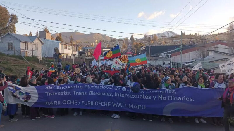 Más de cien mil personas participaron en Bariloche del Encuentro Plurinacional de Mujeres y Diversidades