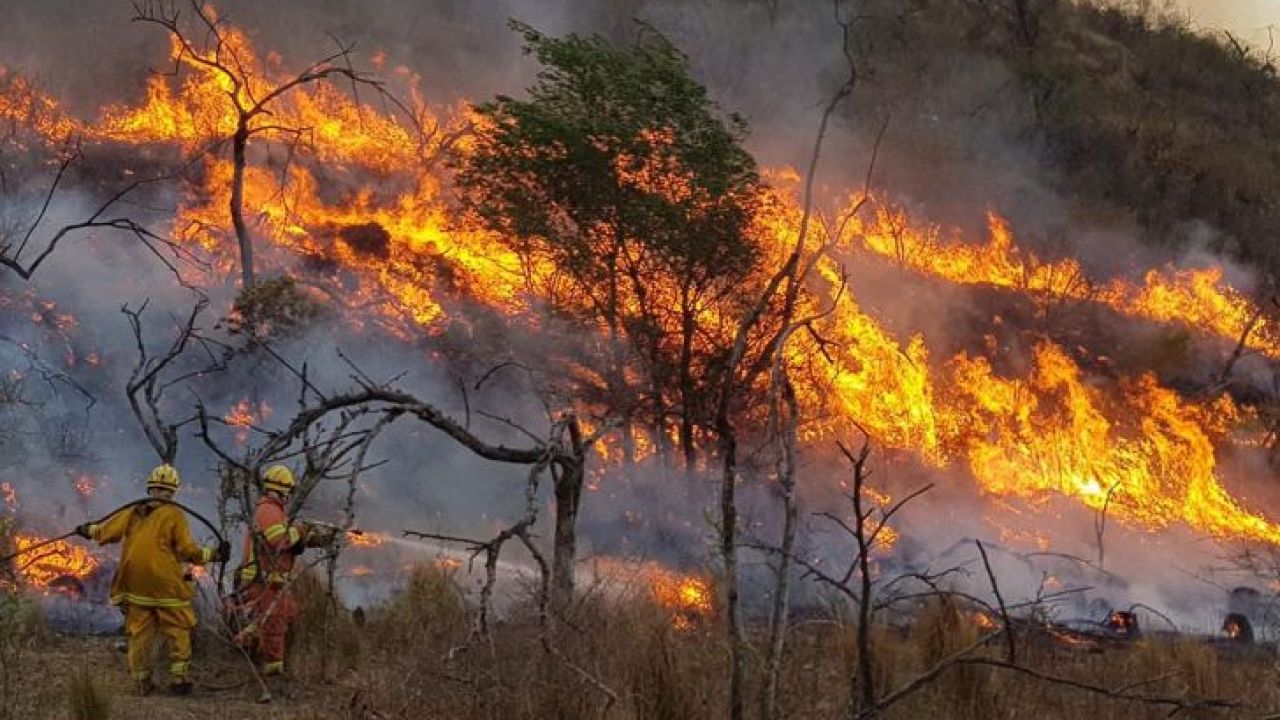 La Argentina que se quema: 8.400 hectáreas de bosque nativo arrasadas a causa de incendios