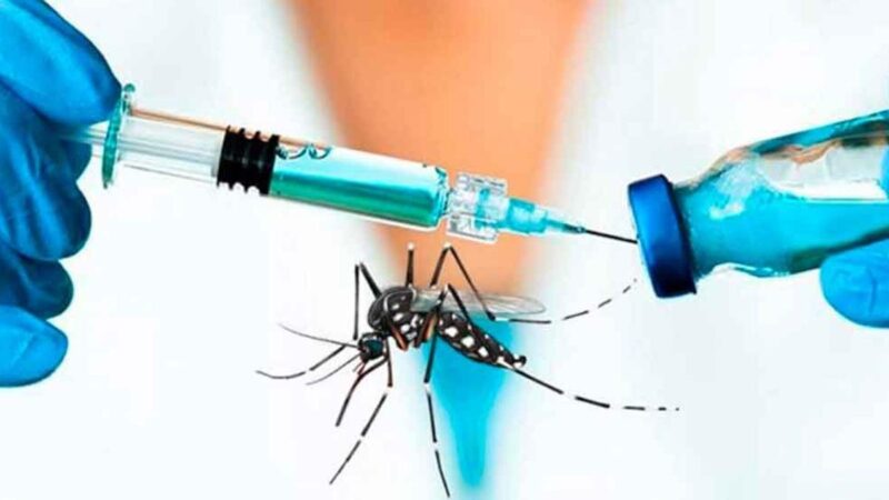 Dengue: crece la presión al Gobierno nacional, que apura el ingreso de repelentes sin promover la vacunación