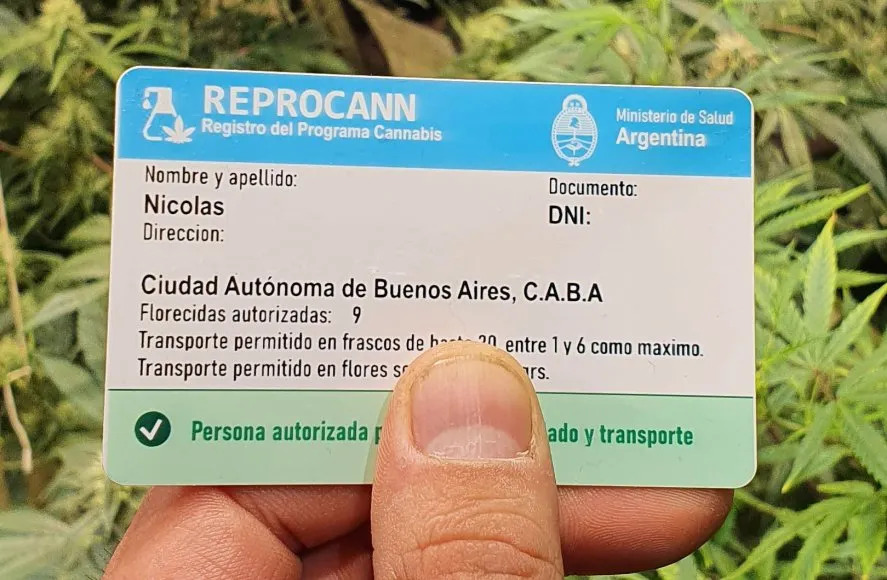 El REPROCANN en la lupa: el Gobierno Nacional está auditando la inscripción al registro oficial